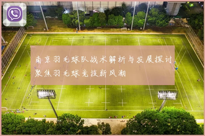 南京羽毛球队战术解析与发展探讨聚焦羽毛球竞技新风潮