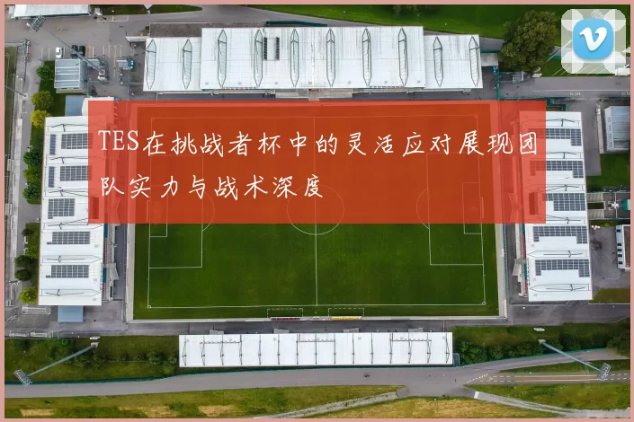 TES在挑战者杯中的灵活应对展现团队实力与战术深度