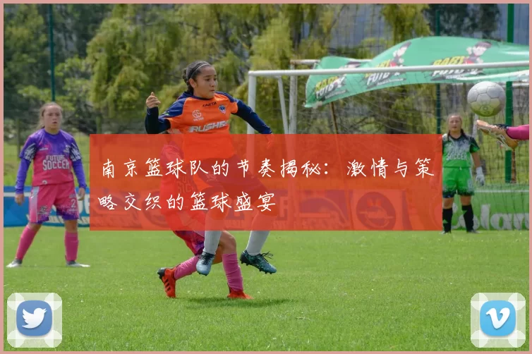 南京篮球队的节奏揭秘：激情与策略交织的篮球盛宴