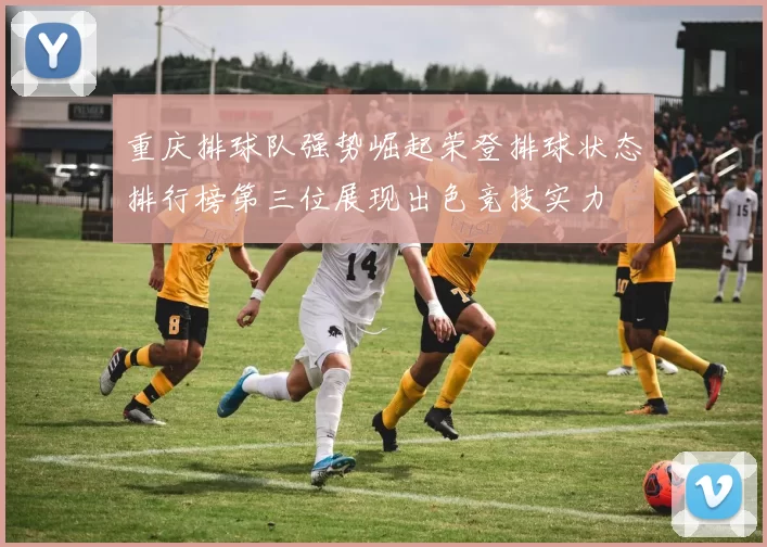 重庆排球队强势崛起荣登排球状态排行榜第三位展现出色竞技实力