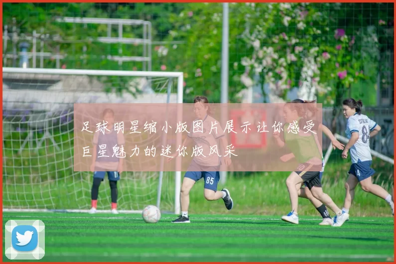 足球明星缩小版图片展示让你感受巨星魅力的迷你版风采