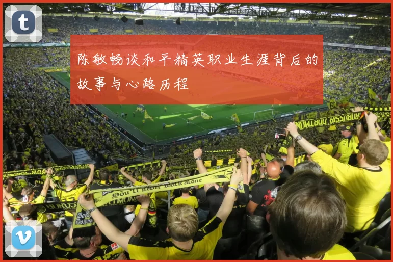 陈敏畅谈和平精英职业生涯背后的故事与心路历程