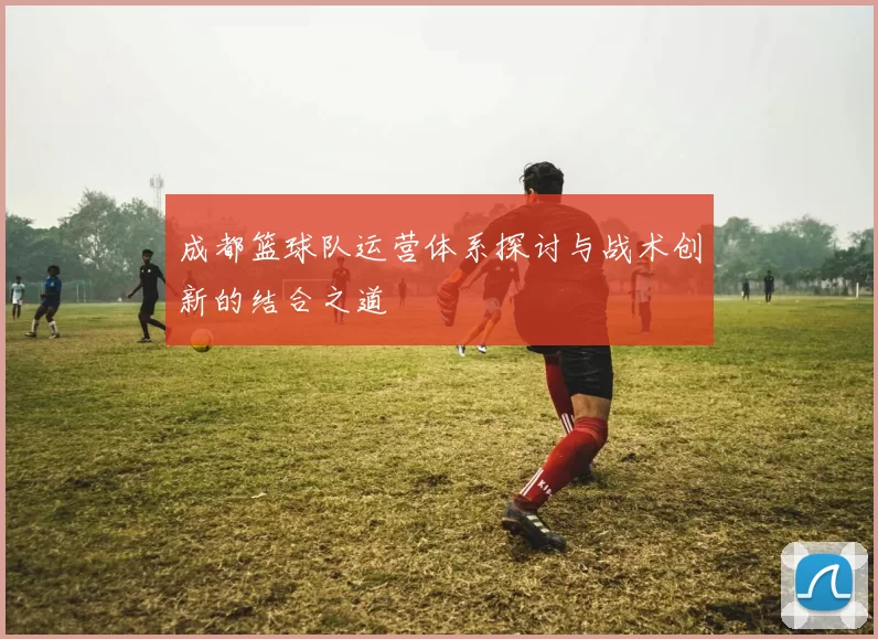 成都篮球队运营体系探讨与战术创新的结合之道