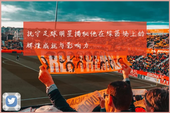 抚宁足球明星揭秘他在绿茵场上的辉煌成就与影响力