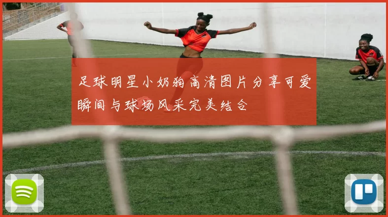 足球明星小奶狗高清图片分享可爱瞬间与球场风采完美结合