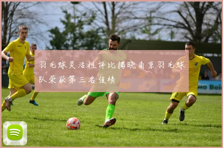 羽毛球灵活性评比揭晓南京羽毛球队荣获第三名佳绩