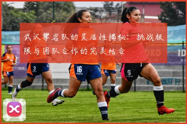 武汉攀岩队的灵活性揭秘：挑战极限与团队合作的完美结合