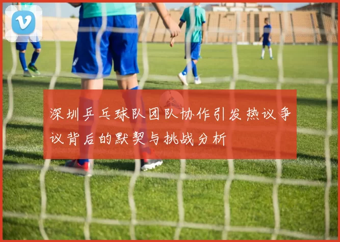 深圳乒乓球队团队协作引发热议争议背后的默契与挑战分析
