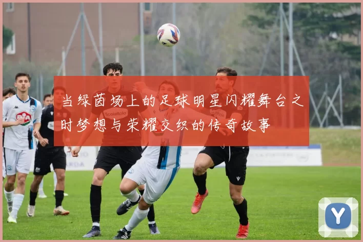 当绿茵场上的足球明星闪耀舞台之时梦想与荣耀交织的传奇故事