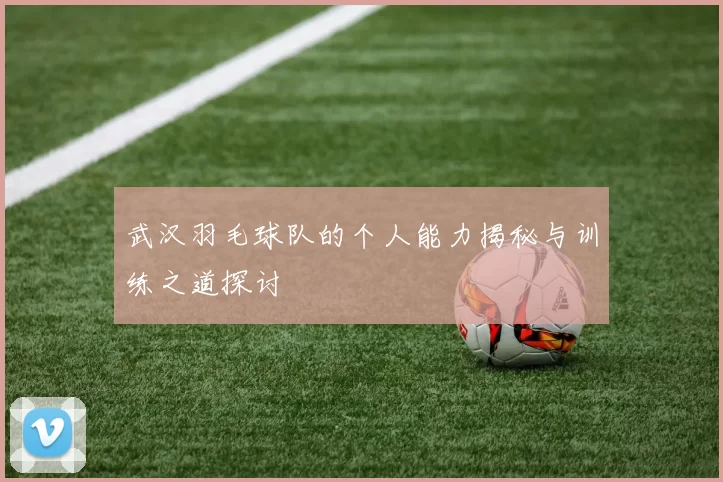武汉羽毛球队的个人能力揭秘与训练之道探讨