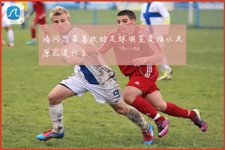 请问您最喜欢的足球明星是谁以及原因是什么