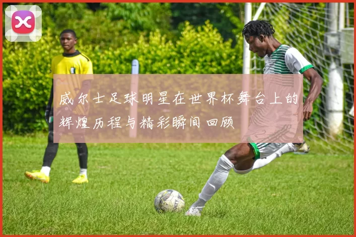 威尔士足球明星在世界杯舞台上的辉煌历程与精彩瞬间回顾
